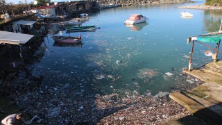Karadeniz’e atılan çöpler, barınaklara birikiyor
