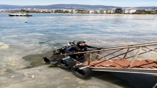 Prof.Dr. Sarı: Müsilajda korkulan durum yok, lakin alg çoğalması yaşanıyor
