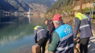 Uzungöl'de kirlilik tespit edilmedi; balık ölümleri, oksijen yetersizliğinden