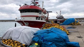 Zonguldak'ta balıkçılar, sezonu erken kapattı