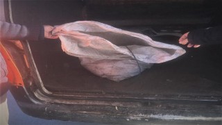 Büyükçekmece Gölü'nde yasadışı ticari balık avcılığına karşı denetimler devam ediyor