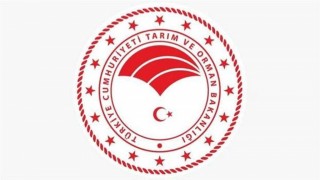 İzmir'de 2 Tarım ve Orman Müdürlüğü görevlisine saldırı