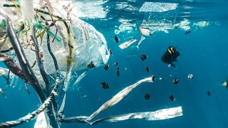 AB Çevre Komiseri Sinkevicius, okyanuslardaki plastik kirliliğine karşı eylem çağrısı yaptı