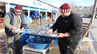 Bandırma'da hamsinin fiyatı ucuzladı