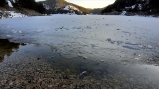 Sünnet Gölü'ndeki balık ölümlerine ilişkin inceleme başlatıldı