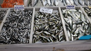 Tekirdağ'da hamsi ve istavrit tezgahları süslüyor