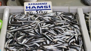 Tekirdağlılar, lezzeti nedeniyle Karadeniz hamsisini tercih ediyor