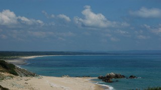 Türkiye’de Denizel Ekosistemin Korunması ve Sürdürülebilirliği için Deniz Okuryazarlığı Kursu 15 Şubat'ta başlıyor