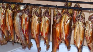 Tuzlu ve tütsülenmiş balık tüketimi mide kanseri yapar mı?