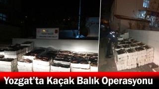 Yozgat’ta Kaçak Balık Operasyonu