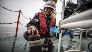 Marmara Denizi'ndeki 'oksijen azlığı' alarm veriyor
