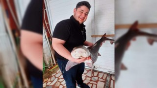 Saros Körfezi'nde balıkçıların ağına köpek balığı takıldı