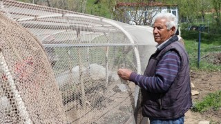 Denizden çıkarılan "hayalet ağlar" köylüleri bahçe nöbetinden kurtardı