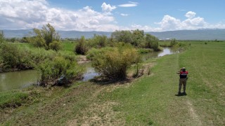 Göç yolcuğundaki inci kefalleri havadan ve karadan korunuyor