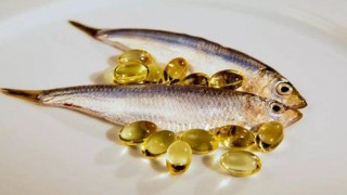 Türkiye 4 ayda 13,3 milyon $ balık unu ve yağı ihracatı gerçekleşti