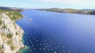 Yalova açıklarında kurulan 4 midye çiftliğinde ilk hasat haziranda yapılacak