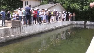Adıyaman'da ilkokul öğrencilerine balıkçılık ve su ürünleri eğitimi verildi