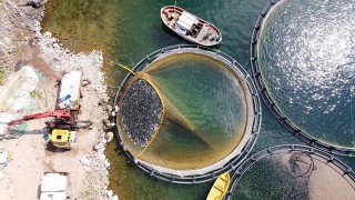 Kayseri’den balık ihracatıyla 30 milyon dolarlık katkı