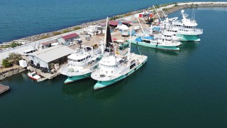 Karadenizli balıkçılar yeni sezonda palamut, çinekop ve hamsi bolluğu bekliyor