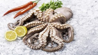 Yunanistan'ın tercihi Saros ahtapotu