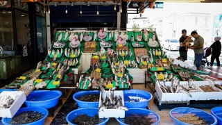 Av yasağının sona ermesiyle balıklar tezgahtaki yerini aldı