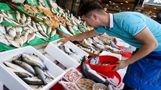 Batı Karadeniz'de balık fiyatları düştü