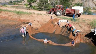 Elazığ'da üretilen 19 milyon yavru sazanla Doğu'daki su kaynakları balığa doyacak