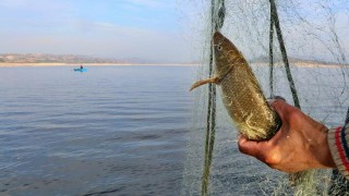 Hatay'da kaçak balık avlayan 3 kişiye 10 bin 500 lira ceza kesildi