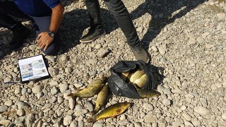 Malatya'da usulsüz balık avlayan 13 kişiye ceza