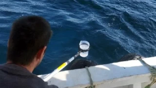 Tekirdağ sınırlarında kalan Marmara Denizi'nin su kalitesi izleniyor