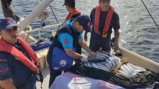 Tekirdağ'da balıkçılar denetlendi