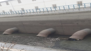 Edirne'de sulama kanalındaki balık ölümleri