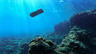 Okyanusların karbon tutma kapasitesi risk altında