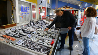 Tekirdağ'da ağlara takılmaya başlayan çinekop, tezgahlardaki yerini aldı
