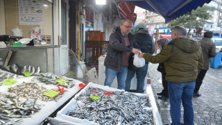 Batı Karadeniz'de hamsi tezgahların gözdesi oldu