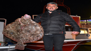 Sinop'ta balıkçı ağına 10 kilogramlık kalkan balığı takıldı