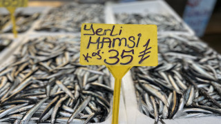 Trabzon'da avlanan yerli hamsi 25-35 liradan tezgahlardaki yerini aldı