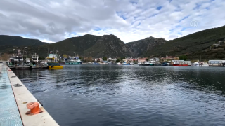 Yalova'da balıkçılığın merkezi Kapaklı köyünün tekneleri döviz de kazandırıyor
