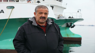 Samsun'da balıkçılar sezondan memnun