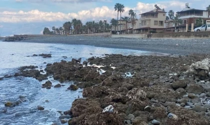 ODTÜ deprem sonrası tsunami ön raporunu açıkladı
