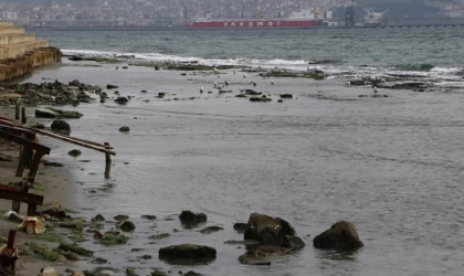 Tekirdağ'da kıyılarda deniz suyu çekilmesinin rüzgar yönüyle alakalı olduğu açıklandı