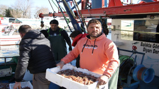 Tekirdağ'da küçük tekne balıkçıları kıyıya karidesle döndü