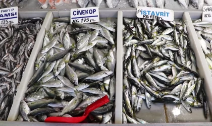 İstavritin kilogramı 120-140 liradan satılıyor
