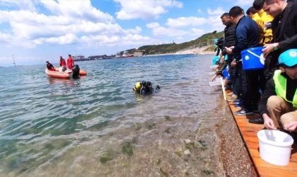 İzmit Körfezi'ne 6 bin balık yavrusu salındı