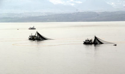 Sinop'ta balıkçılar sezondan memnun