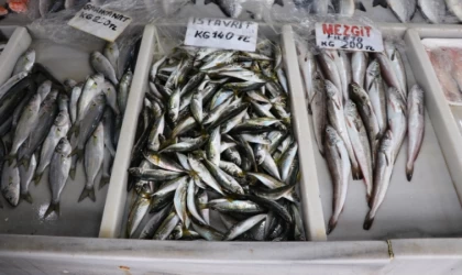 Tekirdağ'da küçük tekne balıkçılarının avladığı balıklar tezgahları süslüyor