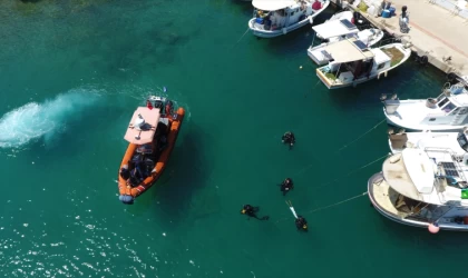 Bodrum'da deniz dibi temizliği yapıldı, 30 bin balık yavrusu denize bırakıldı