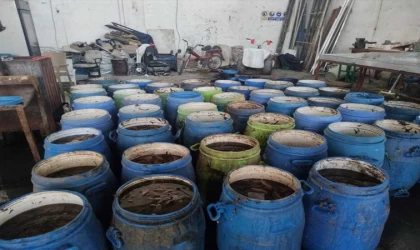 İzmir'de kaçak avlanan 900 kilogram deniz patlıcanı denize bırakıldı