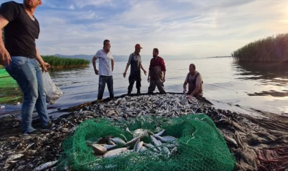 İznik Gölü'nde av sezonu balık bolluğuyla başladı