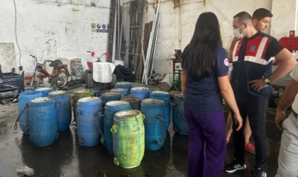 Kaçak avlanan 900 kilo deniz patlıcanı denize salındı